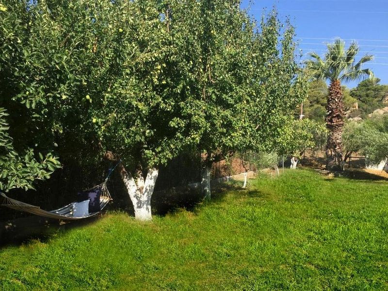 صورة الفندق 10