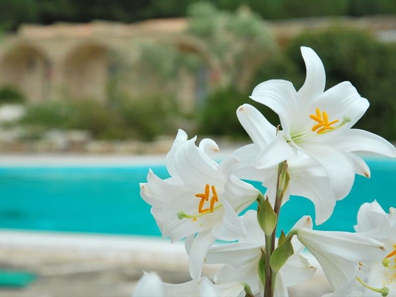 صورة الفندق 18