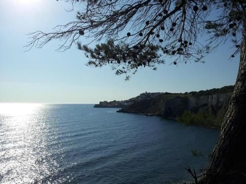 صورة الفندق 24