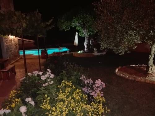 صورة الفندق 16