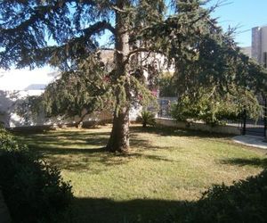 B&B Il Cedro Salve Italy