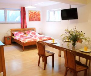 Großzügige Souterrainzimmer Munich Germany