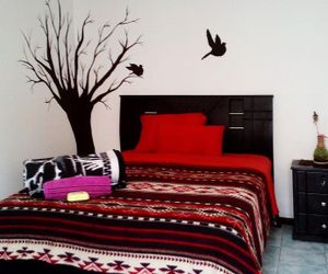 The Backpacker Hostal Ibarra Ecuador