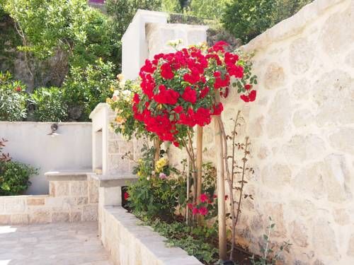 صورة الفندق 16