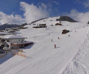 Apart Alpin Tux Austria