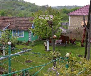 Pensiunea Doina si Ion Chisinau Moldova