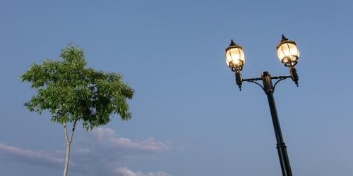 صورة الفندق 18