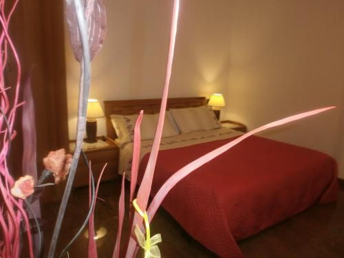 صورة الفندق 12