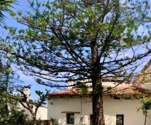 Chorio House Platanias Platanias Greece