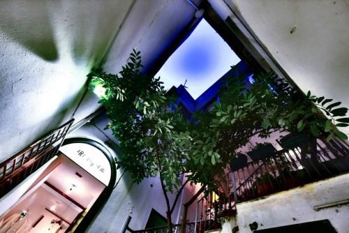 صورة الفندق 6