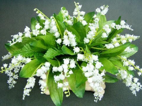 صورة الفندق 17