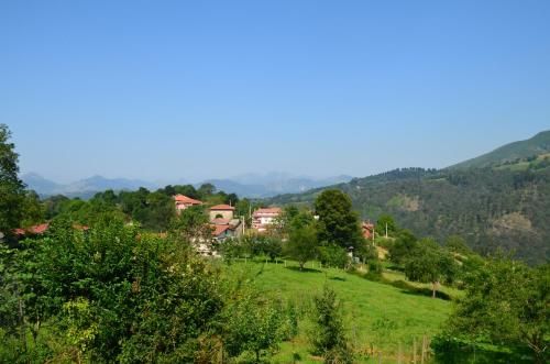 صورة الفندق 20