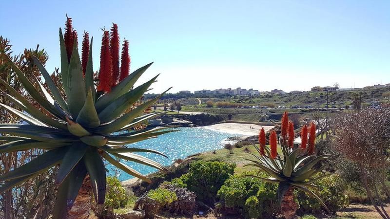 صورة الفندق 1