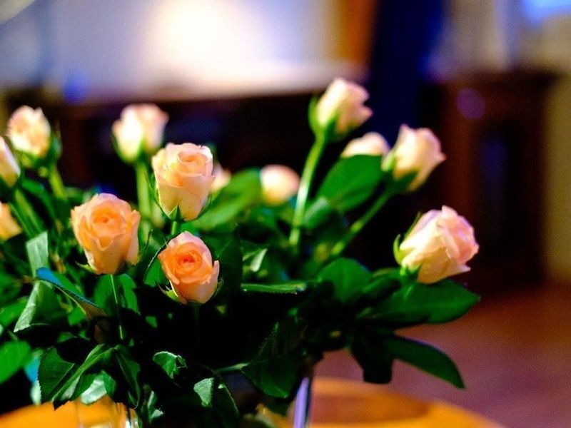 صورة الفندق 16