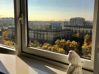 Белые Дни и Ночи