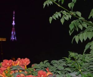 Lotus Tbilisi Georgia