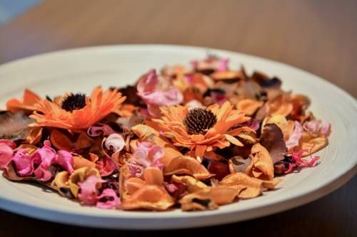 صورة الفندق 16