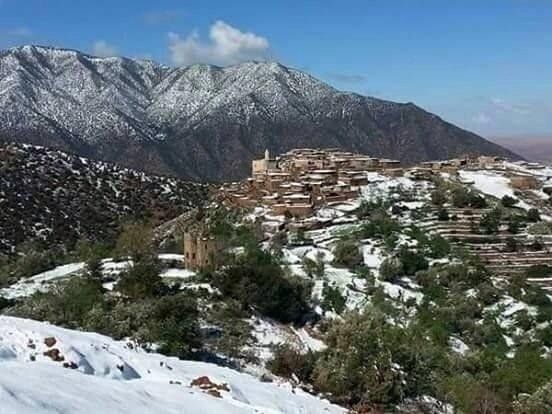 صورة الفندق 19
