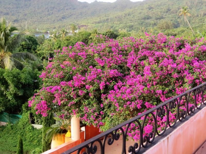 صورة الفندق 12