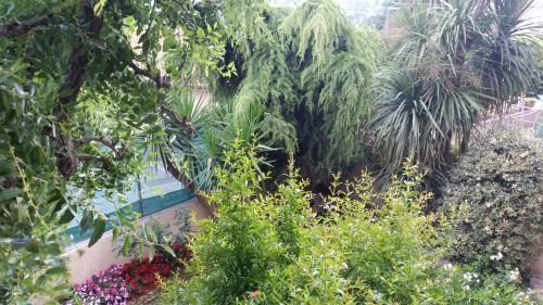 صورة الفندق 6