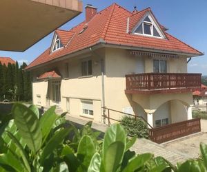 Voyage Apartments Heviz Hungary