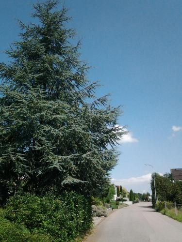 صورة الفندق 19