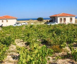 Karina Vineyard House Tenedos Turkey