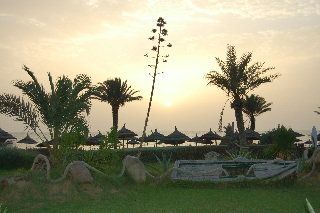 صورة الفندق 20