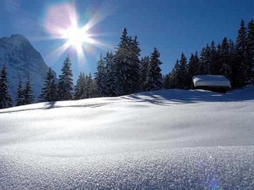 صورة الفندق 23