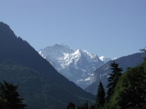 صورة الفندق 13