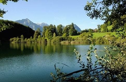 صورة الفندق 23