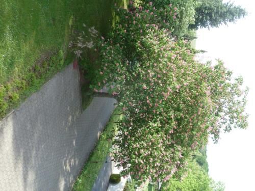 صورة الفندق 12