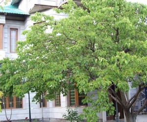 Guest House on ul Davidashen 10 Yerevan Armenia