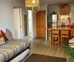 Departamento Pucon Pucon Chile