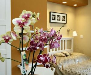 Orchidea Apartman Eger Eger Hungary