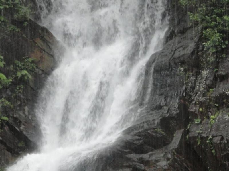 صورة الفندق 5