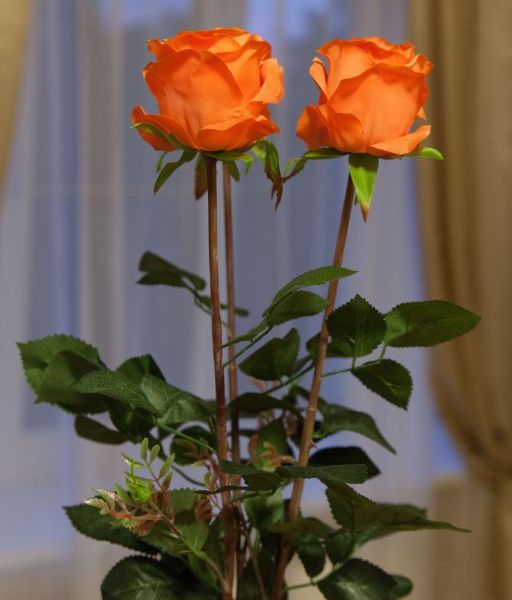 صورة الفندق 22
