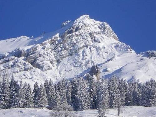 صورة الفندق 20