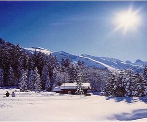 Chalet Bergmandli Engelberg Switzerland