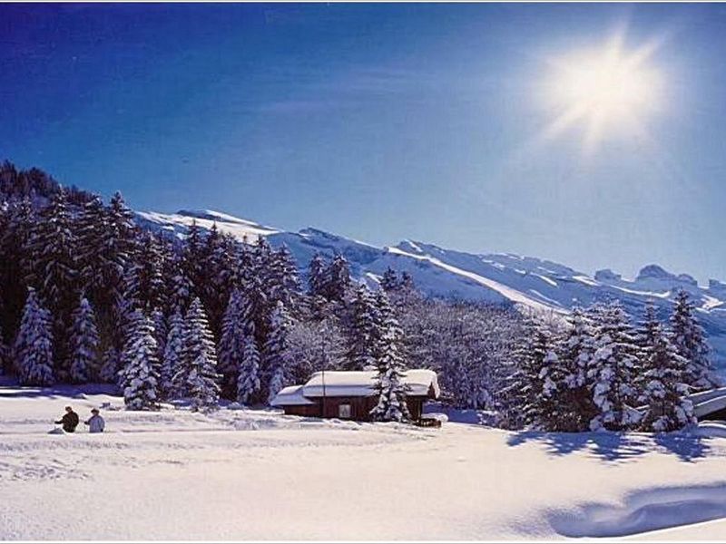 صورة الفندق 1