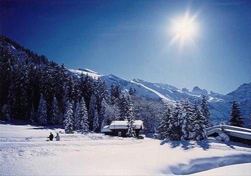 صورة الفندق 2