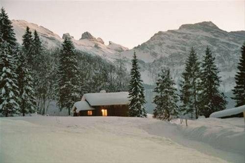صورة الفندق 4