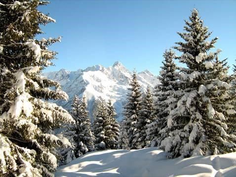 صورة الفندق 5