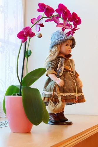 صورة الفندق 19