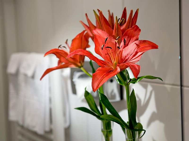 Hotel Photo 16