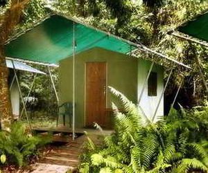 Jungle Lodge Cape Tribulation Australia