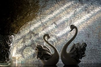 صورة الفندق 23