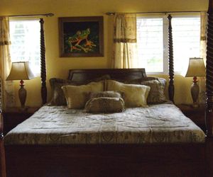 Inn the Bush Eco-Jungle Lodge San Ignacio Belize