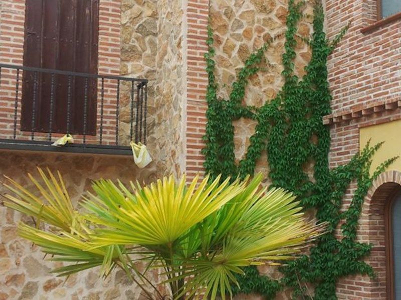 صورة الفندق 1