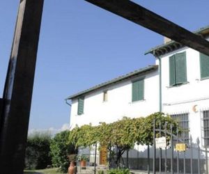 Alloro 2 Capannori Italy